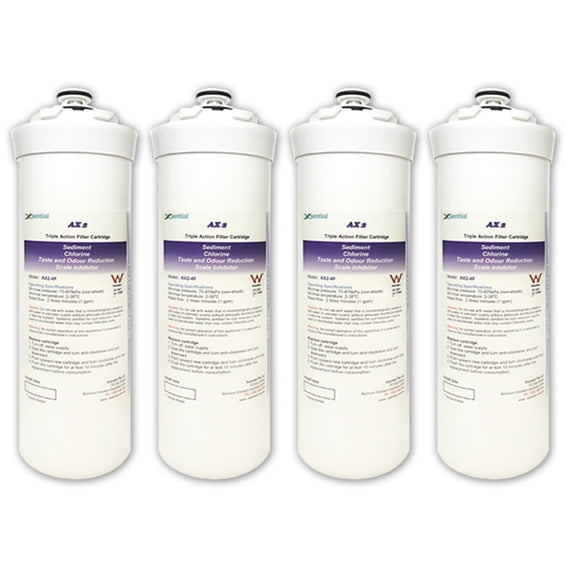 AX2-4F Replacement Filter, suits Zip 5 Star