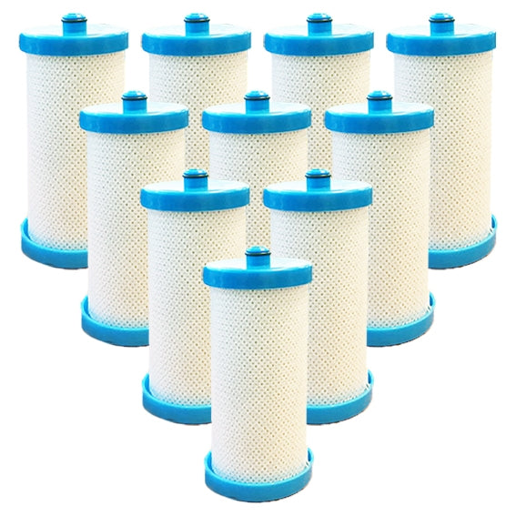 Westinghouse Electrolux 1438545 Fridge Water Filter 218904501 WF1CB