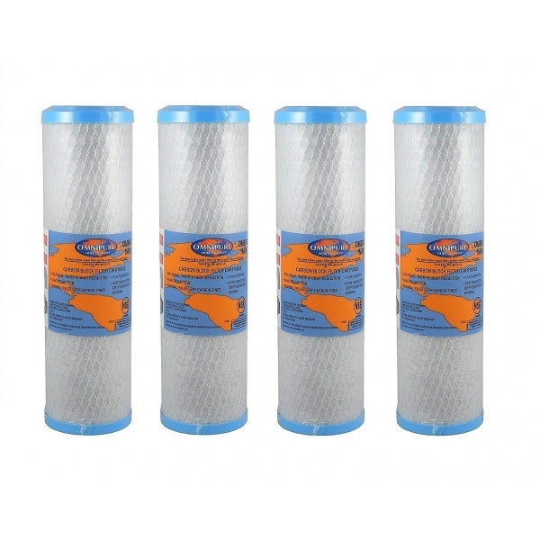 Omnipure 2.5" x 10" 1 Mic Carbon Block Filter OMB934 1 Mic