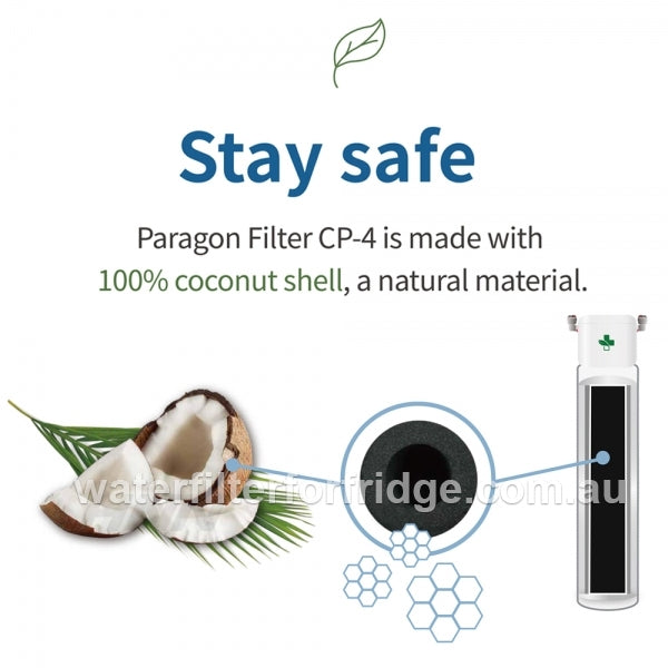 PFOS and PFOA remove filter system