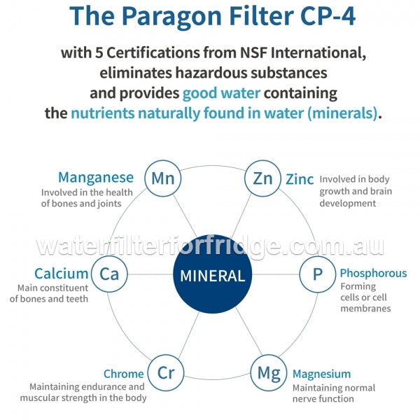 PFOS and PFOA remove filter system