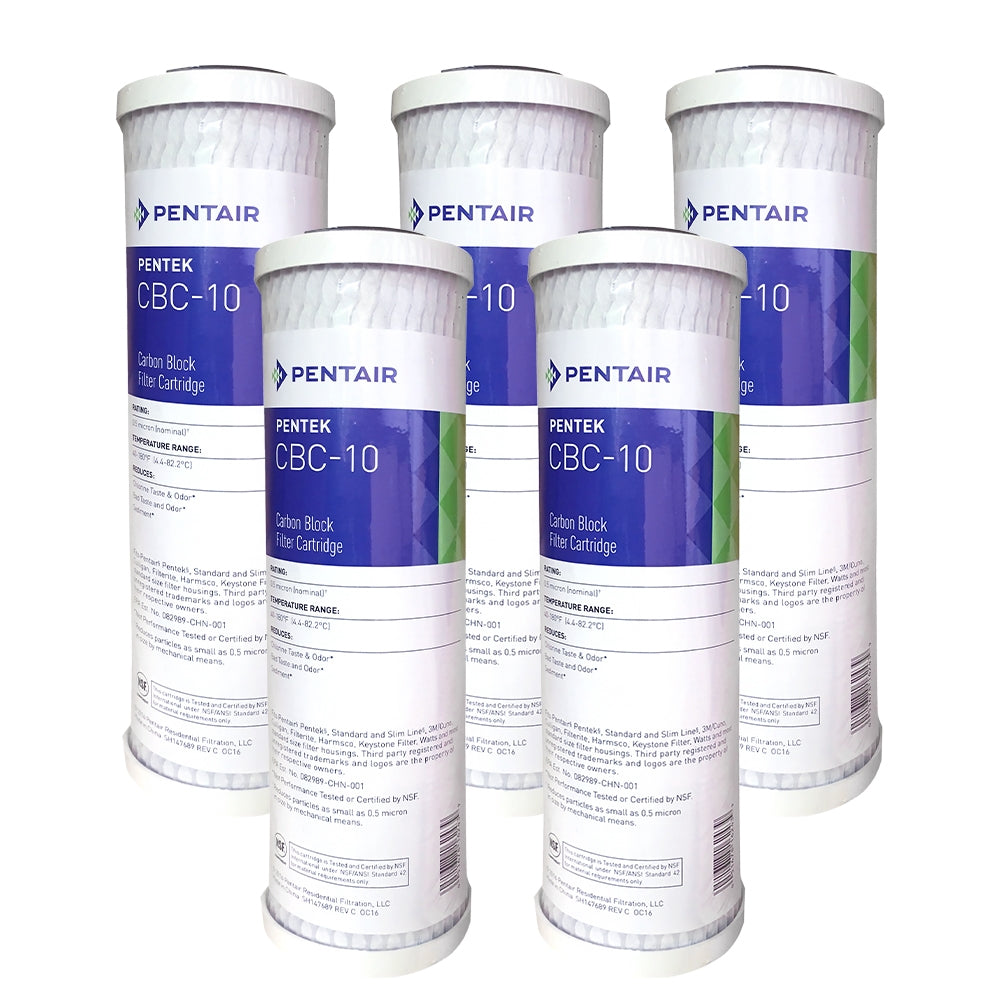 Pentek ® CBC-10 Giardia Cyst Reduction Water Filter 0.5 Micron 10"