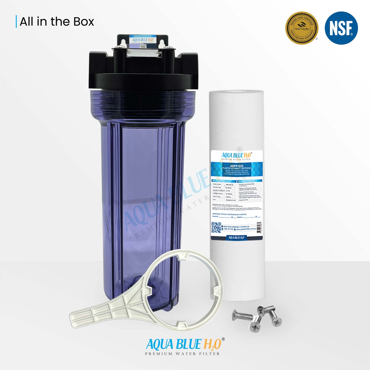 Whole house water filter system with transparent bottle including filter standard fitting