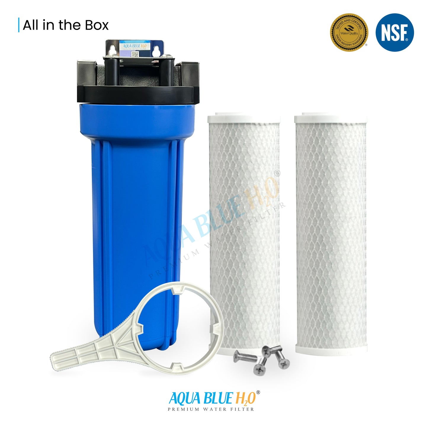 10 Inch Big Blue Housing with Presser Relief Button, 10 Micron CTO Carbon Block Filter
