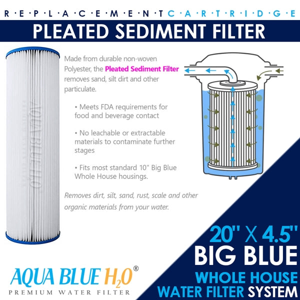 20" Big Blue Twin Housing Free Stand with Carbon and Pleated filter Complete system