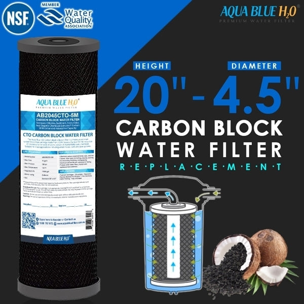 20" X 4.5" Big Blue Twin Water Filter Housing with CTO + Pleated Sediment