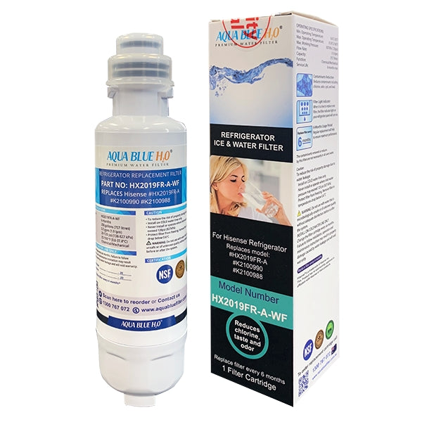 Genuine Hisense Fridge Filter K2100990 K2100988 HX2019FR-A