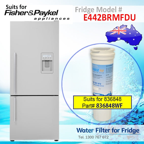 FISHER AND PAYKEL E402BRXFDU4 FRIDGE MODEL 836848/13040210 REPLACEMENT FILTER PART