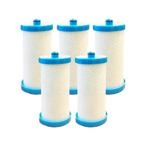 WF1CB RG-100 WFCB 1438545 218904501 Refrigerator Filter Frigidaire Kenmore