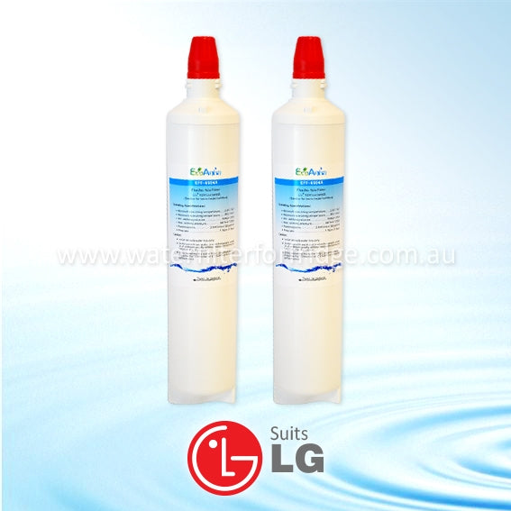 BUY 2* ECO AQUA EFF-6003A Replaces LG Refrigerator Water Filters LT600P, 5231JA2006A GENERIC REPLACEMENT