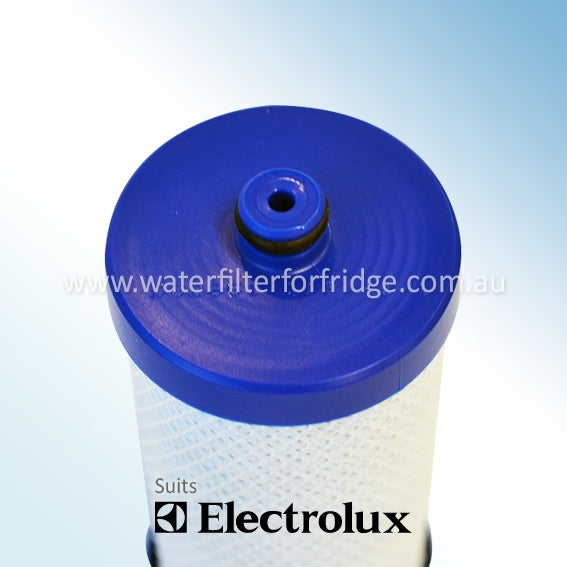 BUY*3 Westinghouse/Electrolux 1438545 Fridge Water Filter | 218904501 WF1CB−EFF
