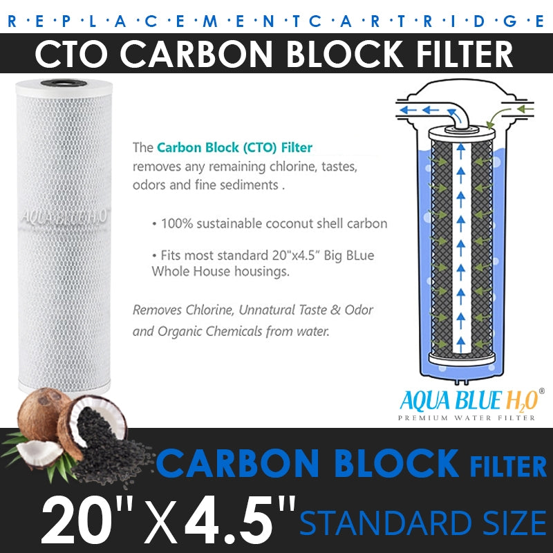 Big Blue 20"x4.5" Whole House CTO Carbon 