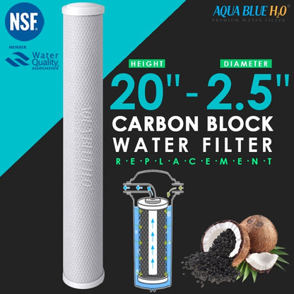 Big Blue 20"x2.5" Whole House CTO Carbon Block 5M