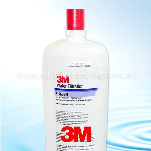 3M P165BN Espresso Scale Control Filter system with header
