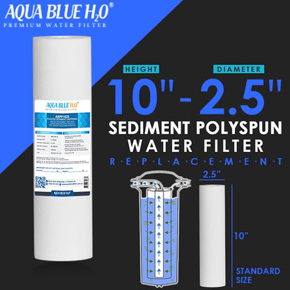Twin Caravan & RV Water Filter System with Sediment & Carbon Filter
