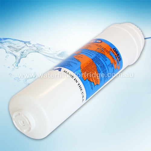 Omnipure Q5520 Q-Series Quick change 1 micron Water Filter 