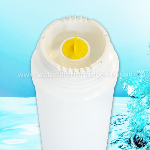 Omnipure Q5520 Q-Series Quick change 1 micron Water Filter 