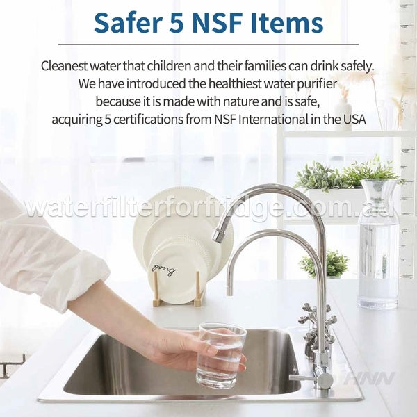 PFOS and PFOA  remove filter system