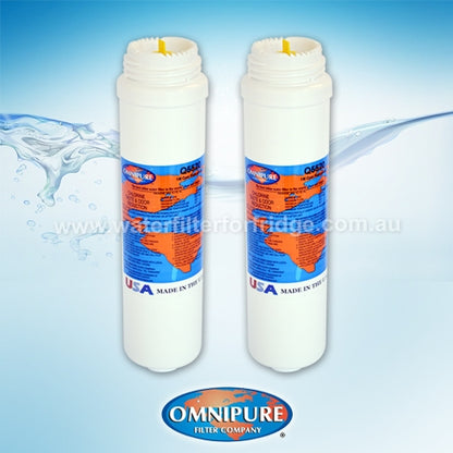 Omnipure Q5520 Q-Series Quick change 1 micron Water Filter 2 pack