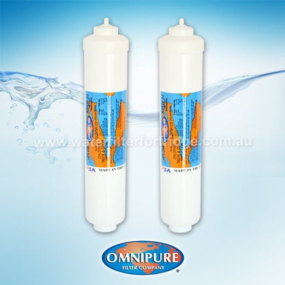 Inline water filter K2520 JJ Omnipure 2 pack