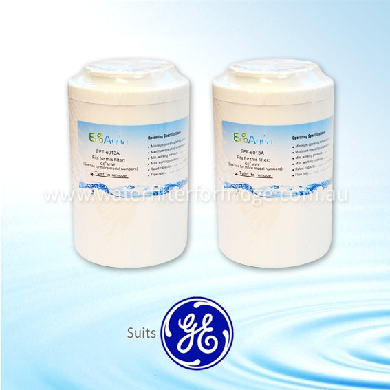 2x Eco Aqua EFF-6013A FOR GE MWF Fridge Water Filter (GWF HWF) Generic Replacement