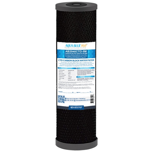 Big Blue 20"x4.5" Whole House CTO Carbon Block 1Mic
