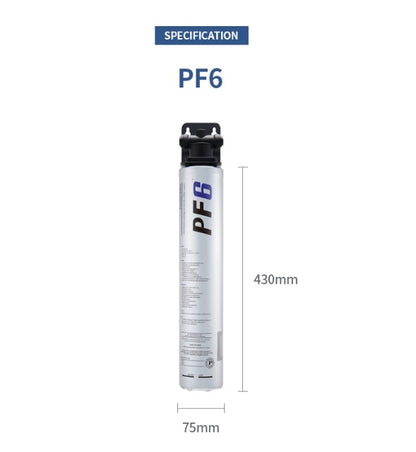 Paragon  PF6  Sediment and  Rust removal filter