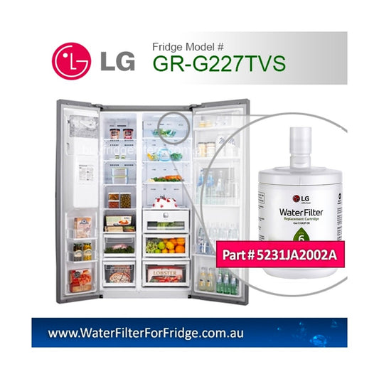 LG 5231JA2002A, LT500P Original Genuine Fridge Water Filter Premium, Cuno 3M