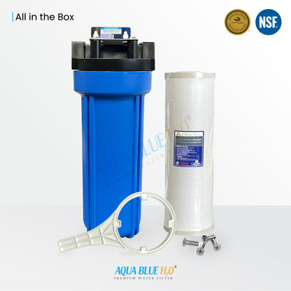Whole House Water System with Puretec Carbon Block Filter 