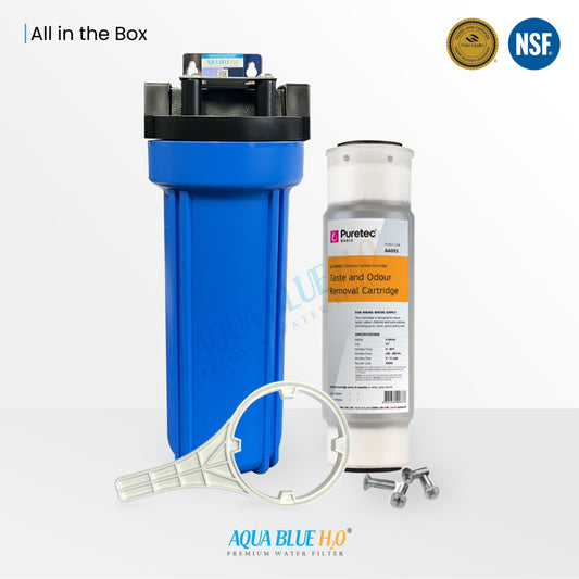 Whole House Water System with Puretec Granular Cabon Cartridge GA051