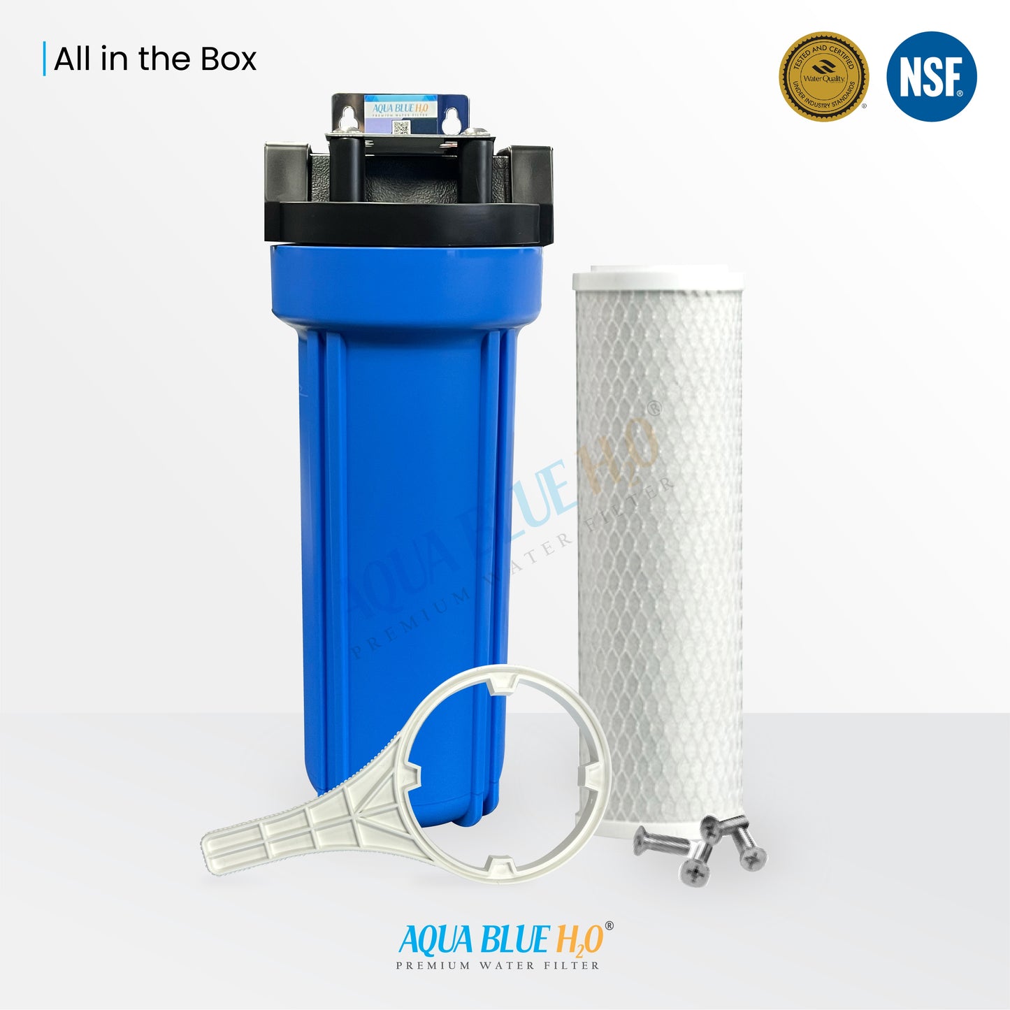 10 Inch Big Blue Housing with Presser Relief Button, 10 Micron CTO Carbon Block Filter