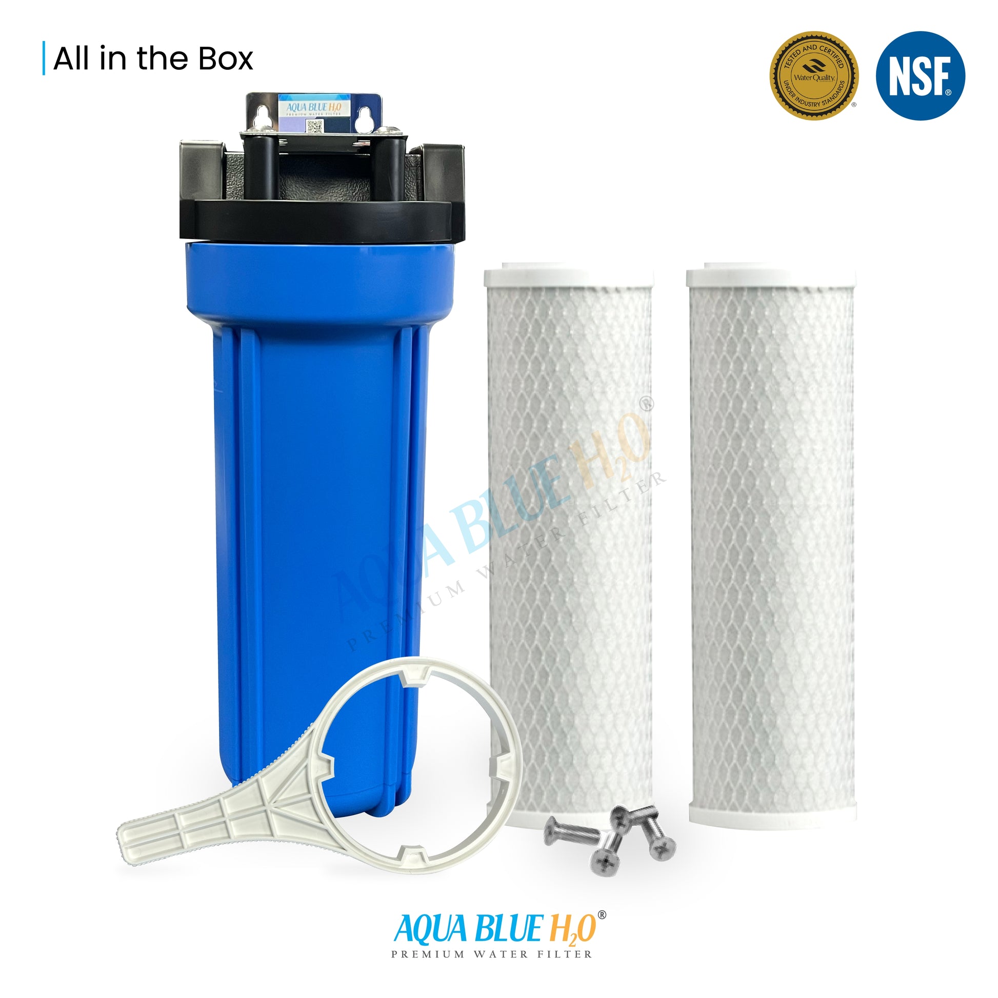 10 Inch Big Blue Housing with Presser Relief Button, 10 Micron CTO Carbon Block Filter