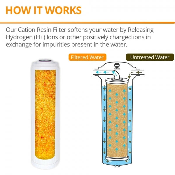 20" X 4.5" Big Blue Twin Water Filter Housing with SEDIMENT + RESIN