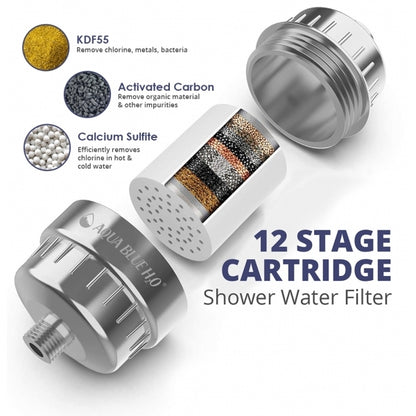 AQUA BLUE H2O SF350  High Output Shower Filter