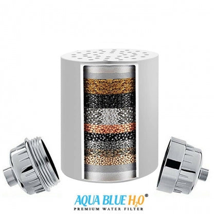 Aqua Blue h20 Shower Water Filter & Rose Complete Set SF350ARM-A