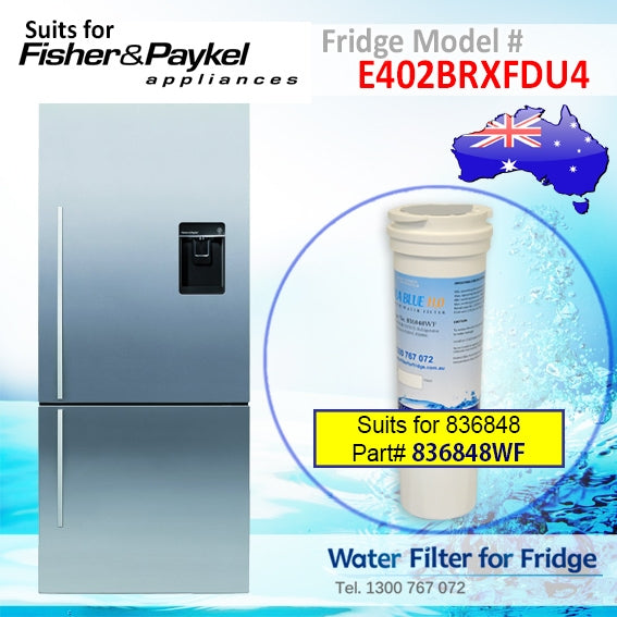 FISHER AND PAYKEL E402BRXFDU4 FRIDGE MODEL 836848/13040210 REPLACEMENT FILTER PART 