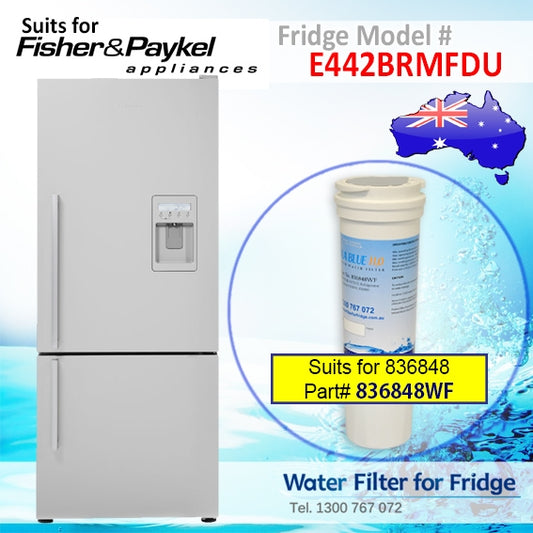 FISHER AND PAYKEL E402BRXFDU4 FRIDGE MODEL 836848/13040210 REPLACEMENT FILTER PART 