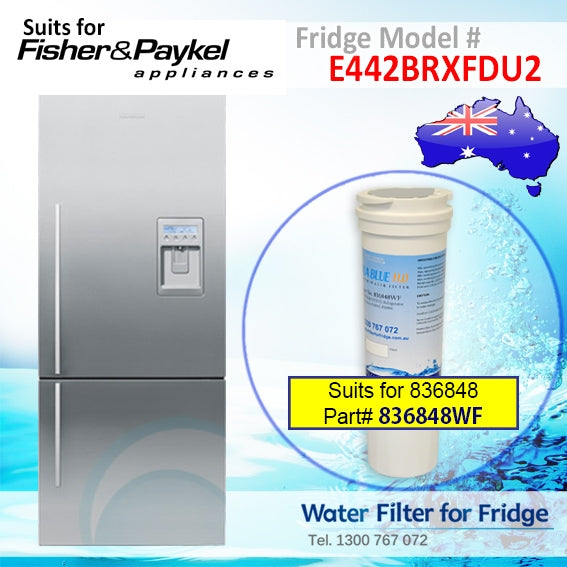 FISHER AND PAYKEL E442BRXFDU FRIDGE MODEL 836848/13040210 REPLACEMENT FILTER PART 