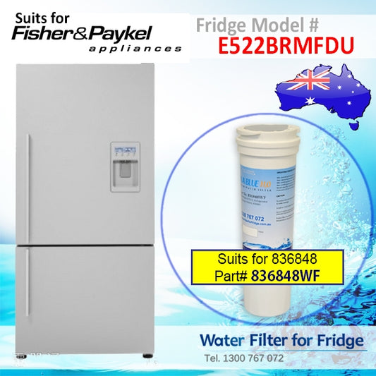 FISHER AND PAYKEL E522BLXFDU4 FRIDGE MODEL 836848/13040210 REPLACEMENT FILTER PART 