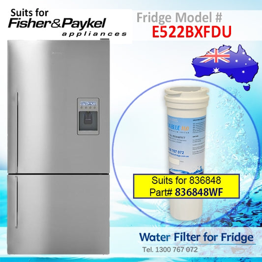 FISHER AND PAYKEL E522BRXU4 FRIDGE MODEL 836848/13040210 REPLACEMENT FILTER PART 
